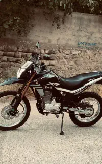 فلات xr 250