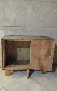 کله کفتر