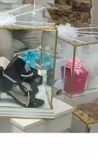 باکس عقد ونامزدی