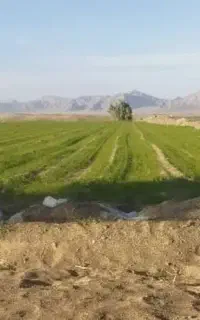 کشاورز واسه چاه موتور