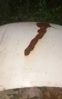 کاپوت پژو پارس