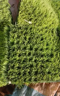 لوازم اکواریوم  سبزی مصنوعی