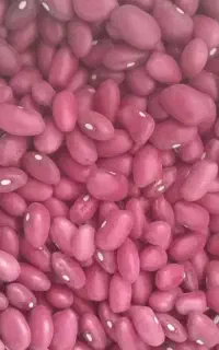 لوبیا قرمز بوجاری شده