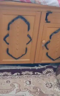 فروزان غلامزاده
