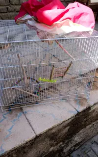 قفس پرنده