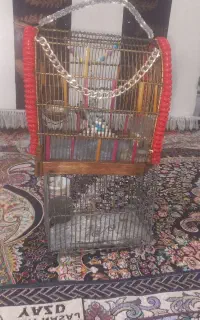 قفس دستباف