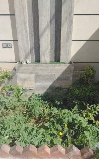 منزل ویلایی شیک و دربست