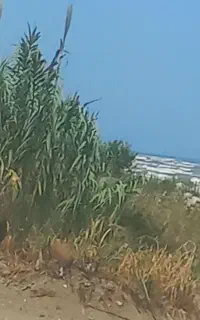 فروش خط همراه اول ۰۹۱۵۷۹۵۹۳۳۷