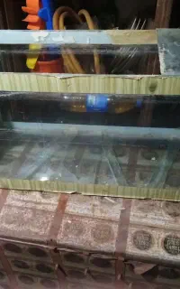 آکواریوم
