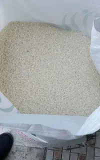 برنج امریکایی