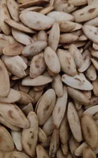 فروش تخمه کدو خارجی درشت