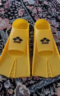 فین شنا