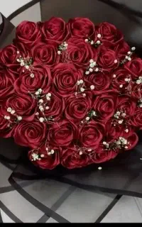 گل روبانی