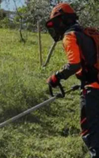 زدن علف هرز در هر متراژ با قیمت مناسب