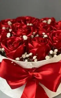 رز روبانی