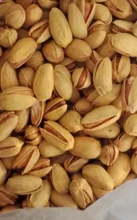 پسته شور زعفرانی درجه یک اکبری