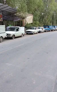حسابدار اشنا به برنامه تره بار