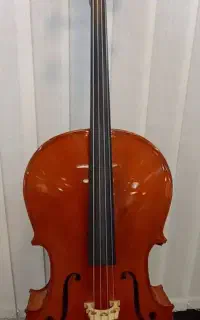 ویلن سل( آماتی)