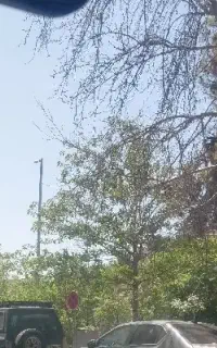 همان سرایدار نگهبانی هستم که در جستجویش هستید.