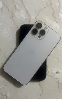 ۱۳پرومکس
