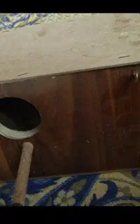 لونه پرنده