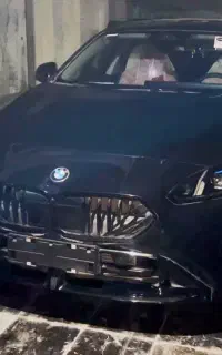 BMW 225L