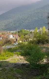 سرایدار هستم با تجربه بالا
