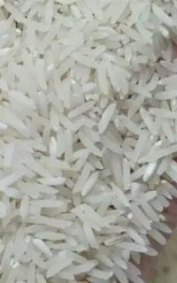 برنج فجر درجه یک ایران