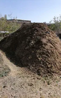 کود حیوانی