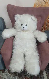 خرس بزرگ