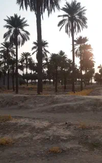 زمین صحرا