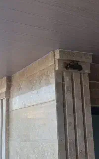 اجرا تخصصی انواع سقف کاذب
