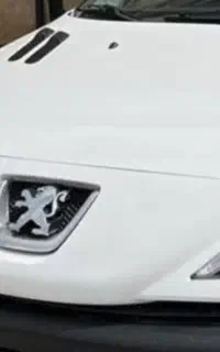 فروش ۲۰۷ پاناروما