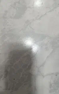 تشک تخت