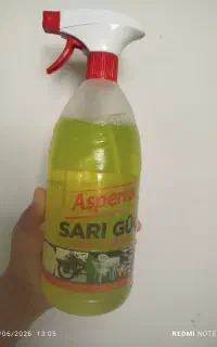ساری گوچ