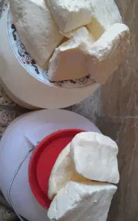 پنیر گاوی