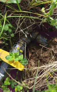 لوله کشی باغ.قطره ای بارانی