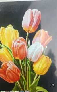 بافنده فرش در منزل