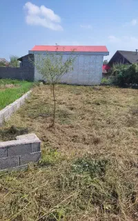 خدمات علف تراشی
