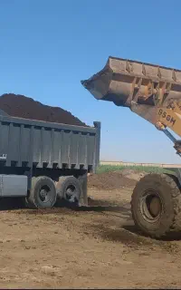 فروش کود گاوی مرغوب