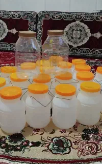دبه ماست