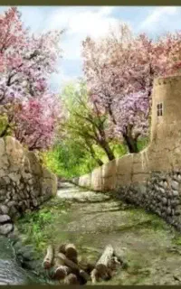 نخ و نقشه کوچه باغ بهاری