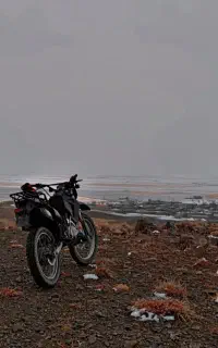 تریل 200gy