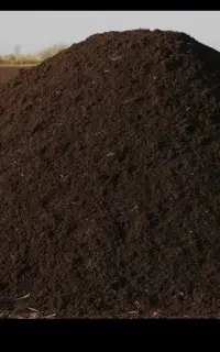 کودگاوی درجه یک و خاگ باغچه میمی