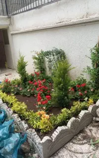 خدمات باغبانی باغچه کاری تعویض خاک گلدان کاشت گل و