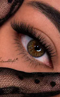 اکستنشن، لیفت، لمینت و مژه هیدن + آموزش