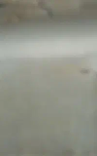 اتاق پیکان وانت