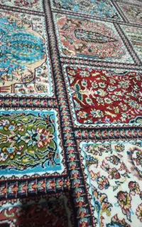 کبوتر پیدا شده
