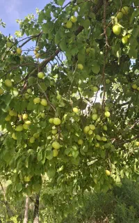 جذب سرمایه گذار