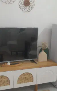 تلویزیون ۴۹اینچ
